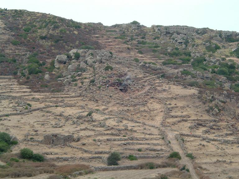 Onitis alexis septentrionalis di Pantelleria